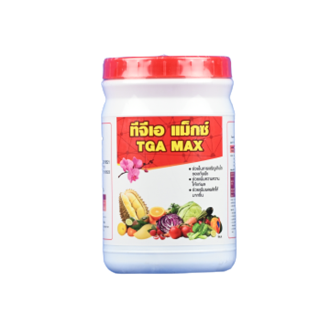 เว็บตรง100 ต่างประเทศ รวมเกมคาสิโนระดับพรีเมียม ปลอดภัย 100%